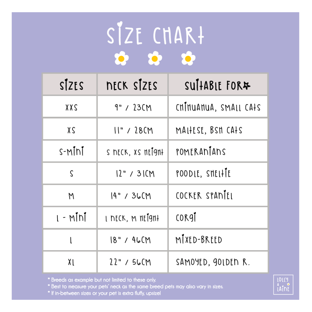 Website sizes (1)