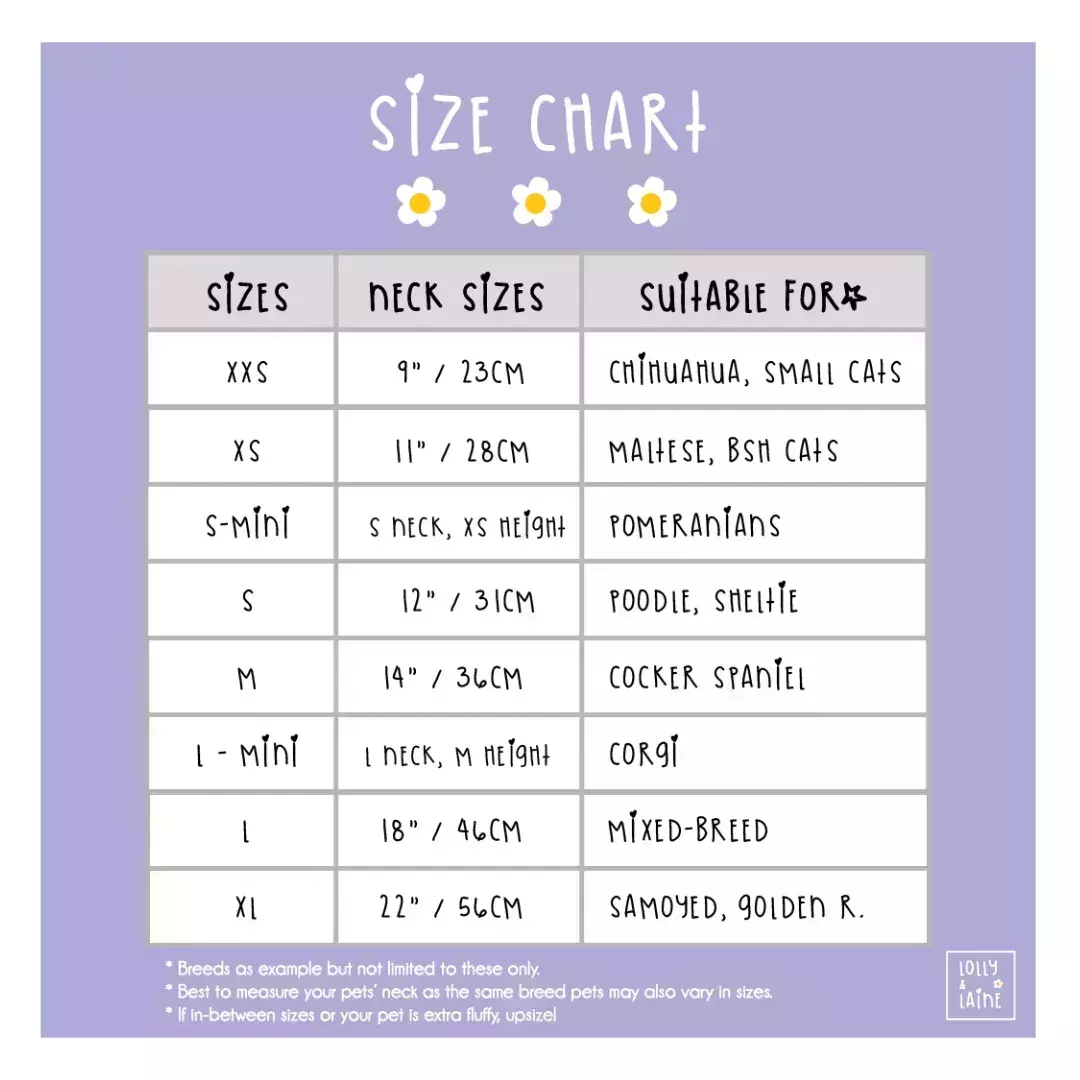 Website sizes (1)