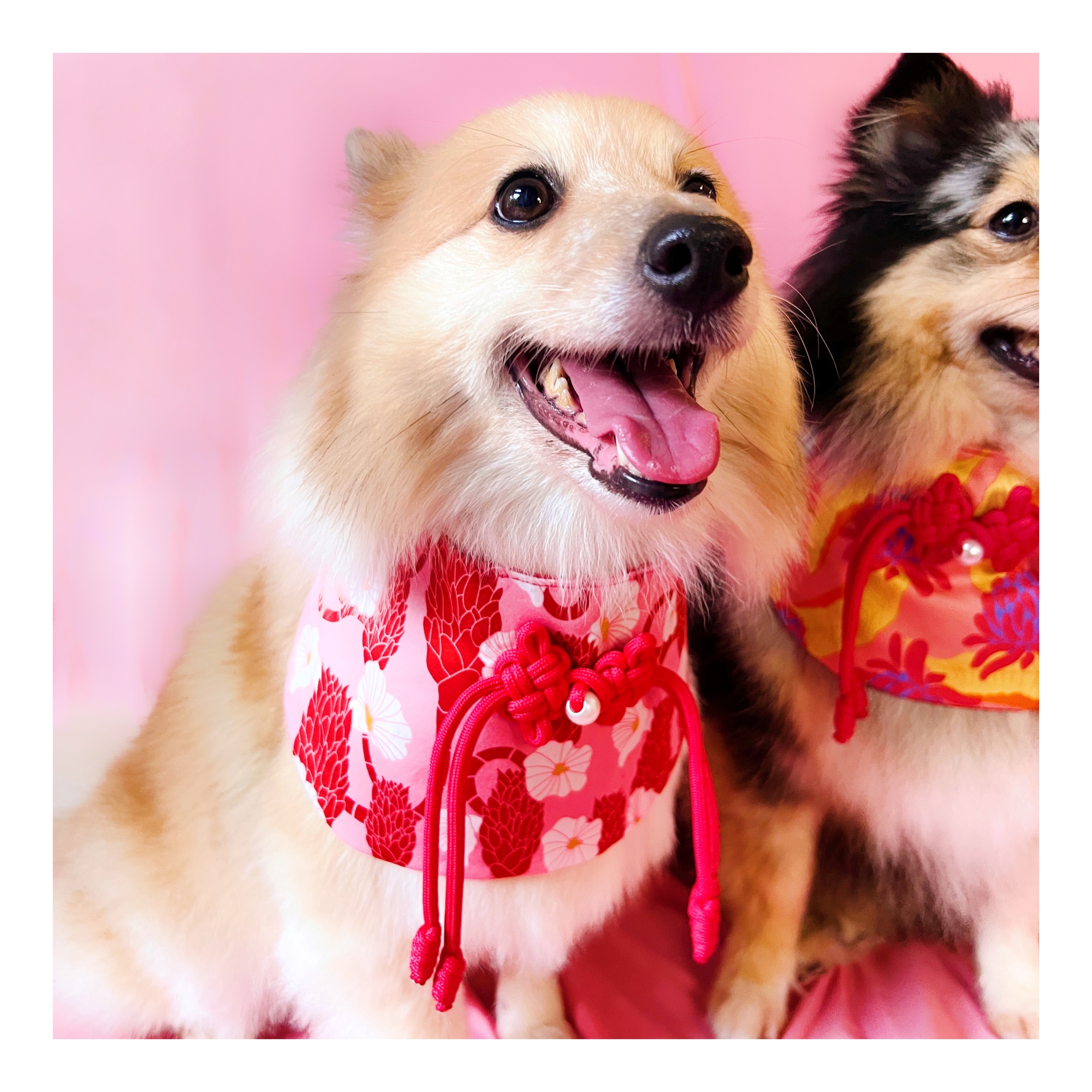 photo-output 29