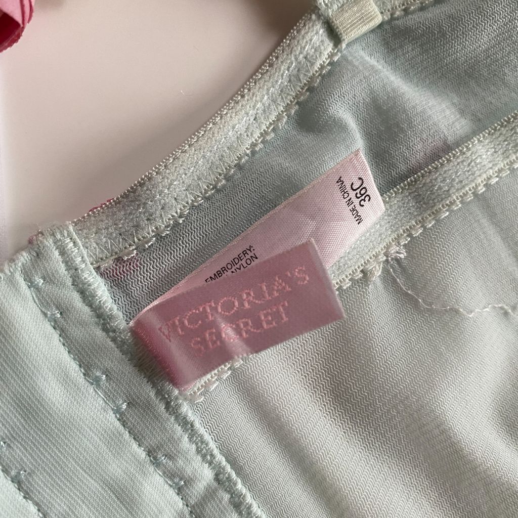 Victoria's Secret Pastel Rose Bustier (36C) – Violette Wears