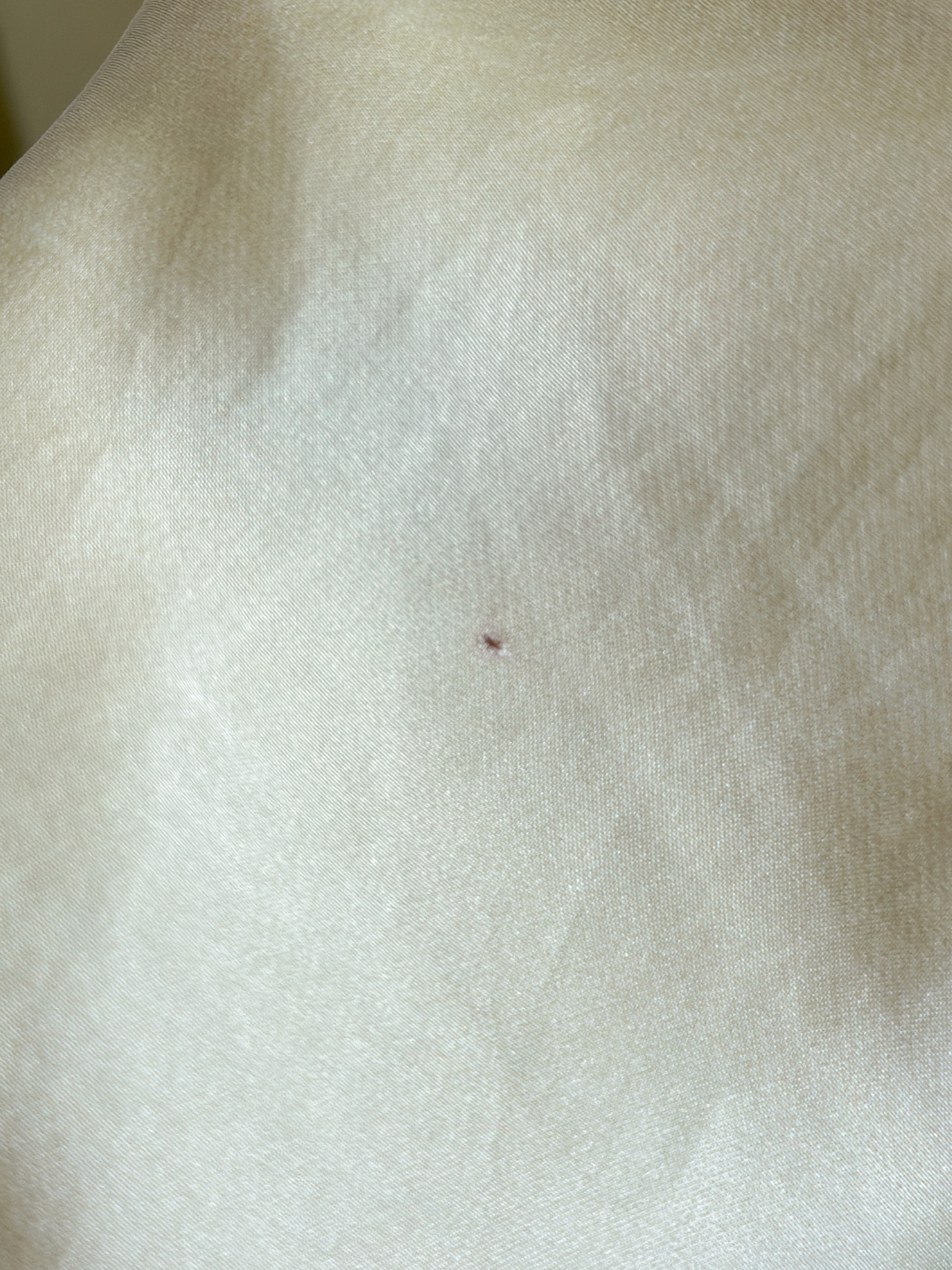 232B2EF2-001F-4E3E-A946-C87B2F0D6BC2