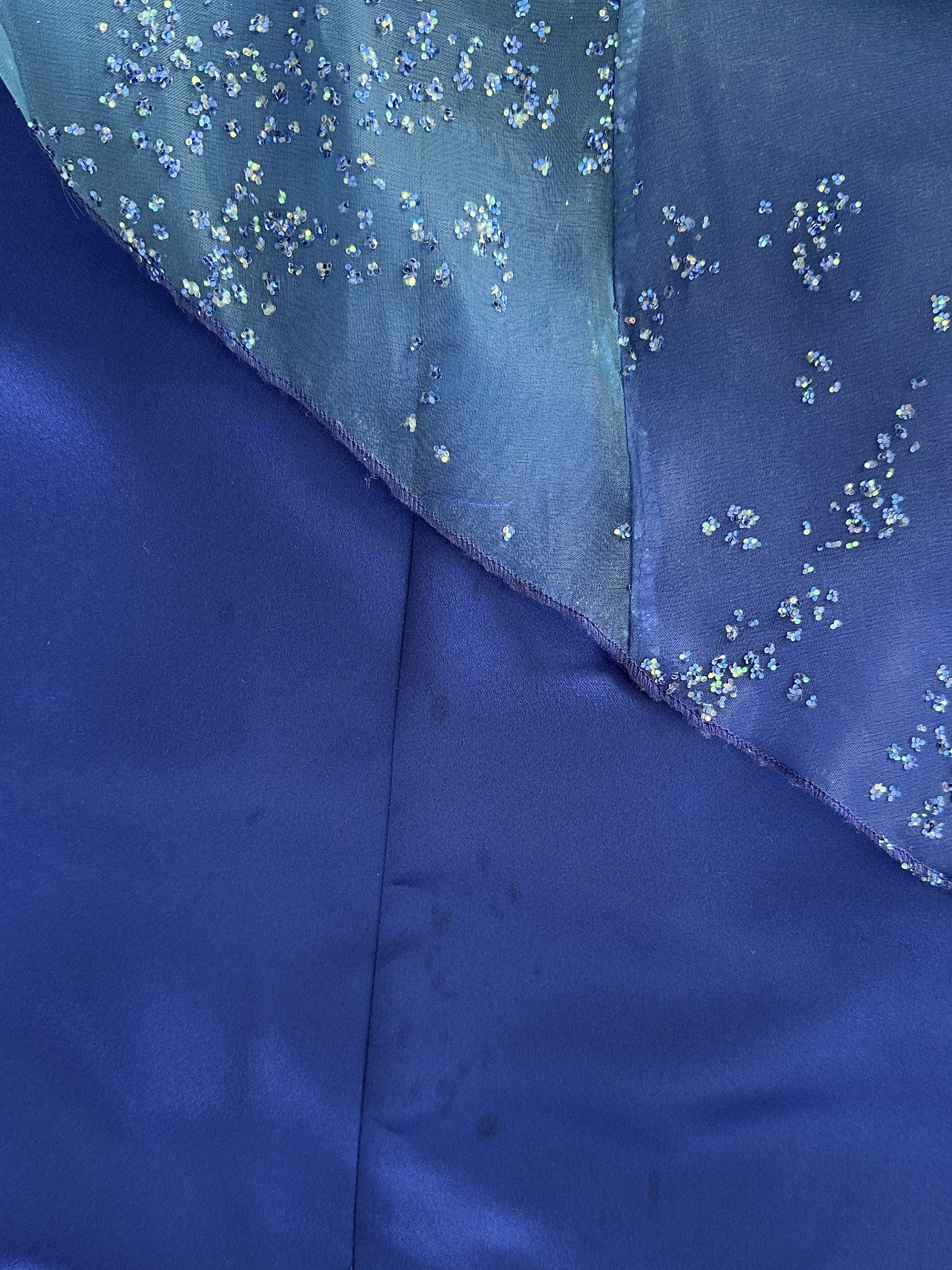 IMG_2431-1736481283810