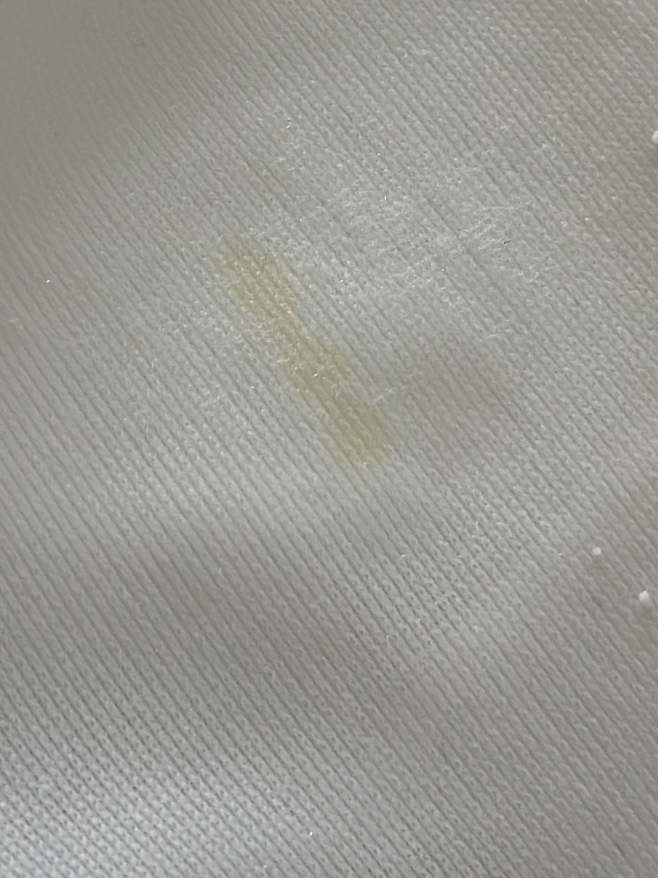 image_CD23F217-53B1-4917-BF1C-61575599A314_1741170406