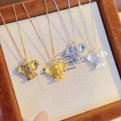 image_42273B61-81E1-4678-866C-908F468417F4_1773802849