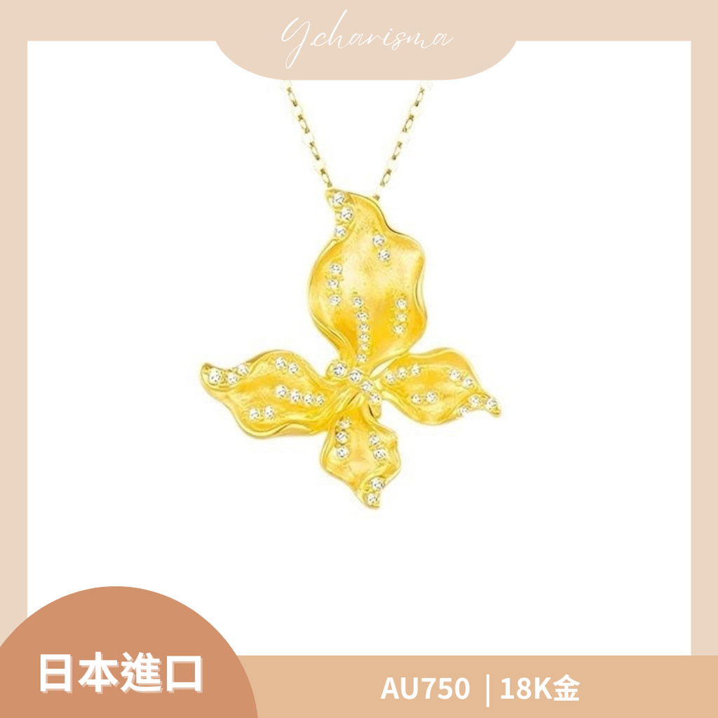 image_062CD597-3A13-47CB-9128-77A804957E9F_1774735765