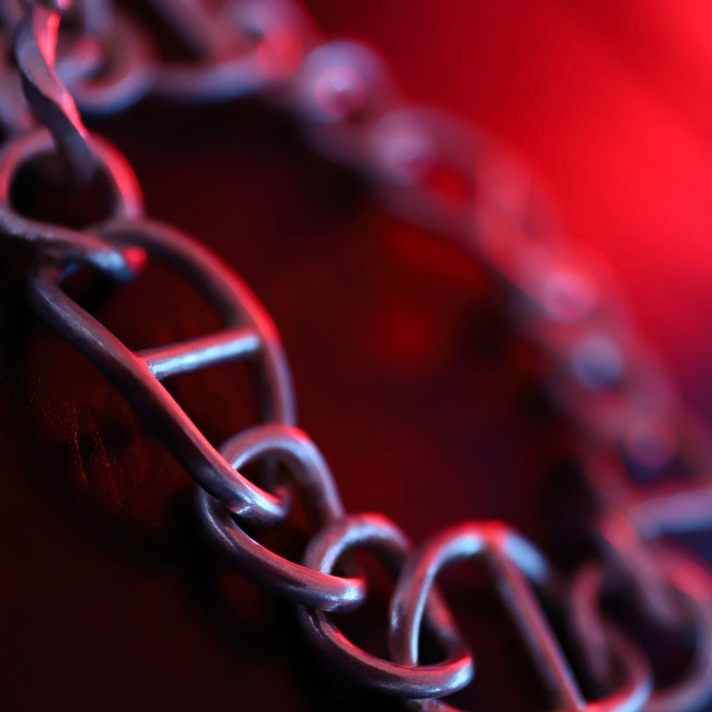 image_E7ADD1A0-3648-44D0-90E2-E60C7F438CBF_1778840802