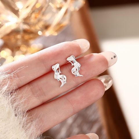 image_C36C35C4-786B-4E1C-A73C-30E647A4F6BB_1788274962