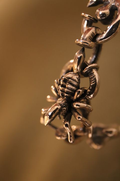 4825894316176432589.39598200866A4AB99CBC2BFB3E583F9B.22120918