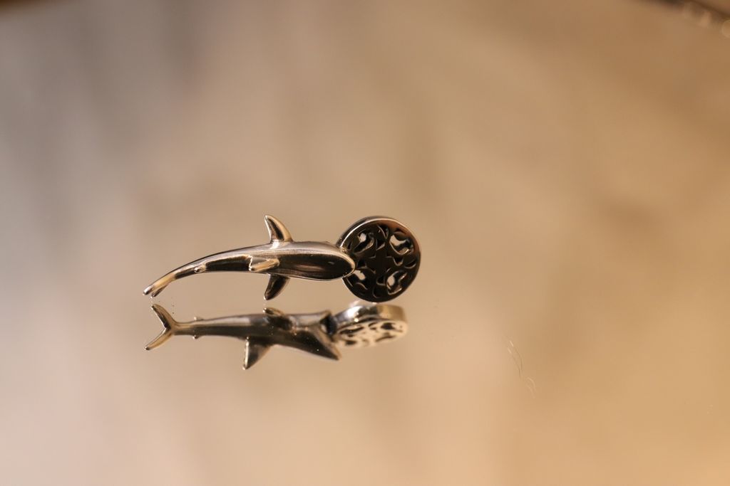 4830697357032608154.0977503998DF4CF69E89924A38EC85D7.22122300