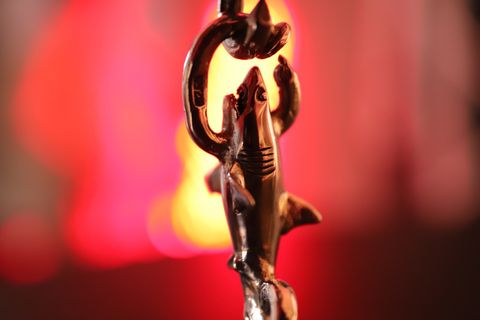 4826646703602269413.5145DAAF50F94B6585F19BCE51CC7352.22121120