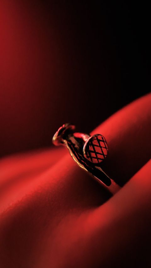 588B6B17-3977-4DAF-9D16-171C102ADC51