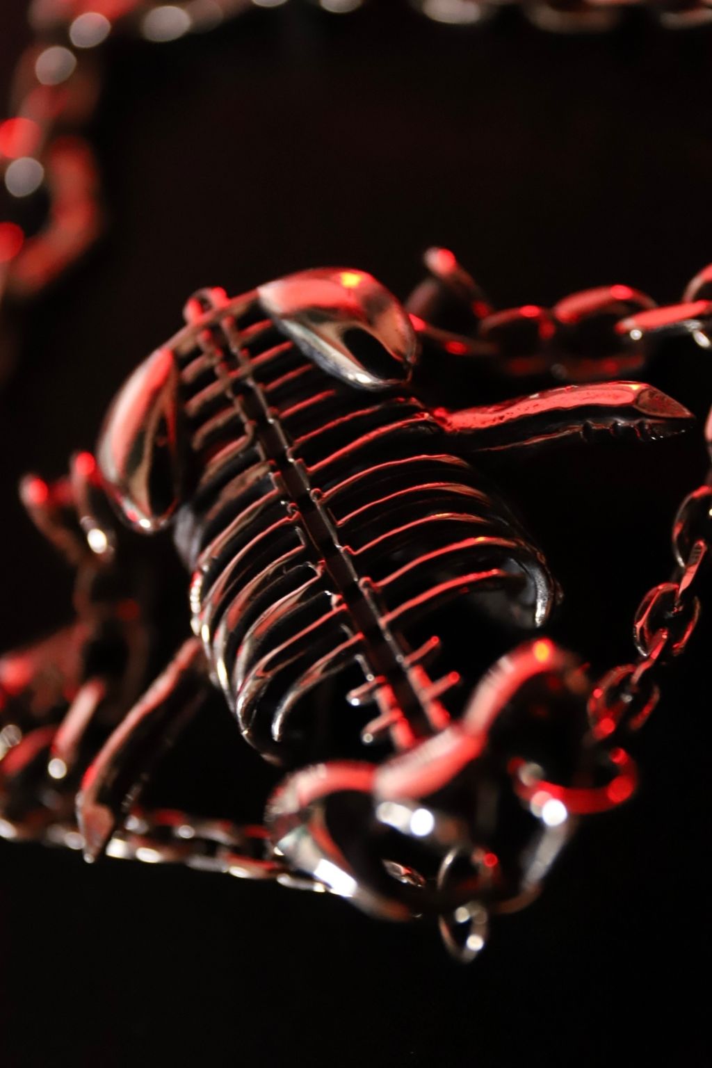 4864435615254652043.E09FD46D78154A4F853333F07949BC86.23032603