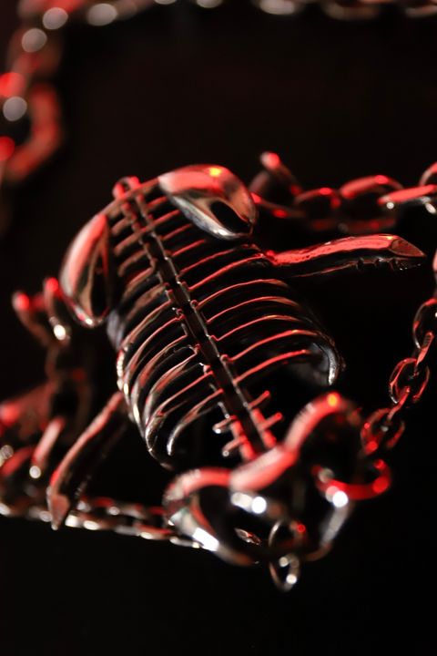 4864435615254652043.E09FD46D78154A4F853333F07949BC86.23032603