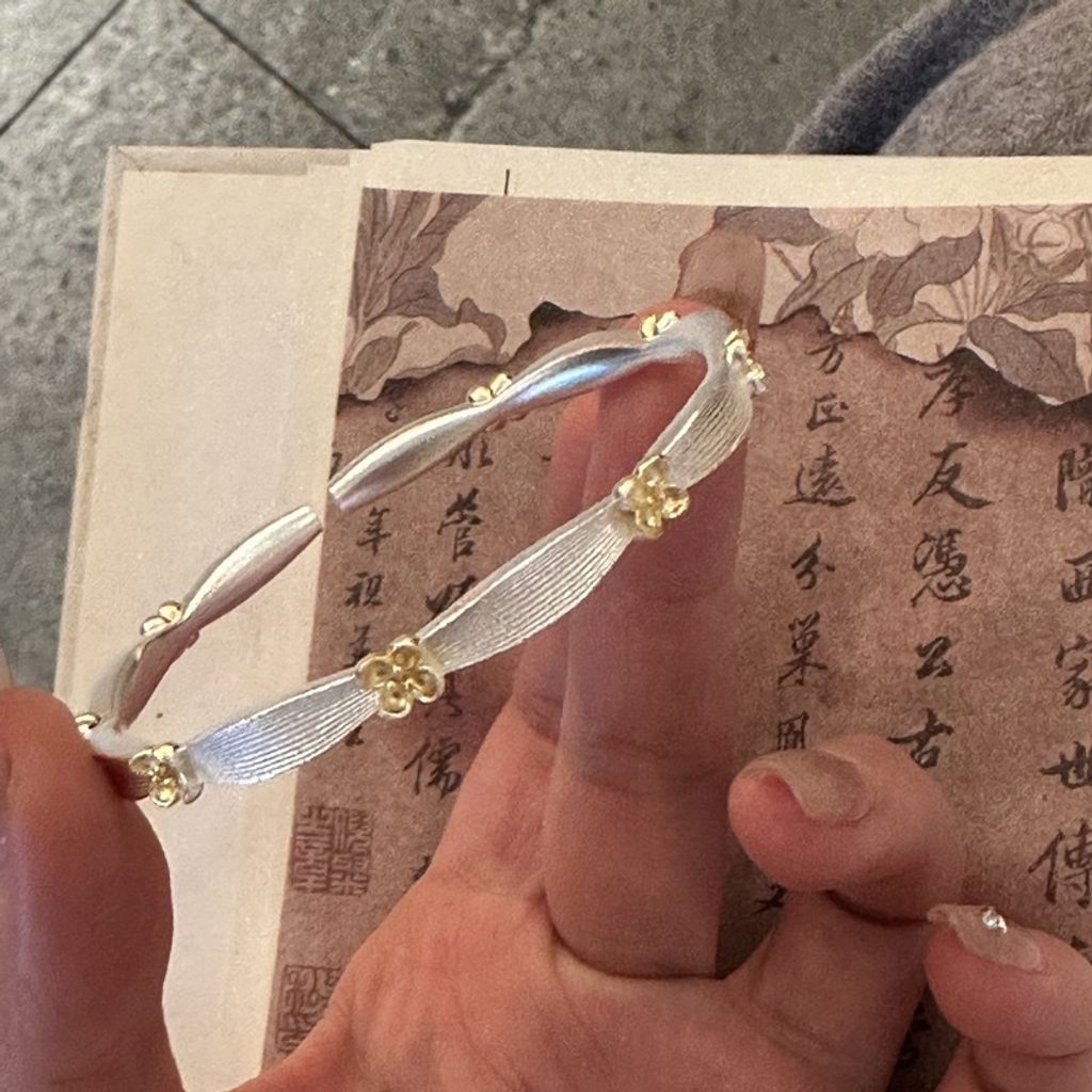 image_5C29D53C-7B12-47A9-A0F8-56D27ED8023F_1744961029