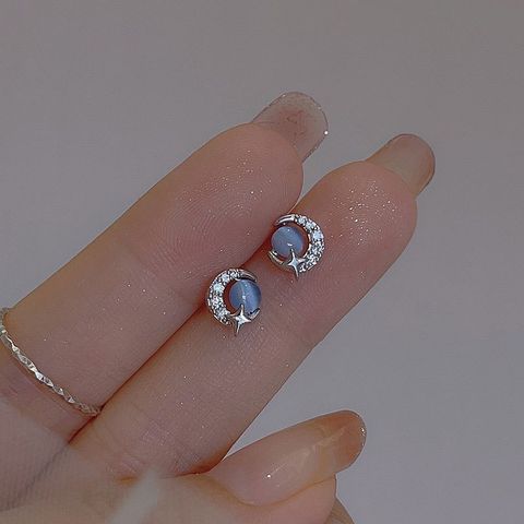 image_DD34FD20-1BAE-403E-A579-506BD54DDB87_1745217700