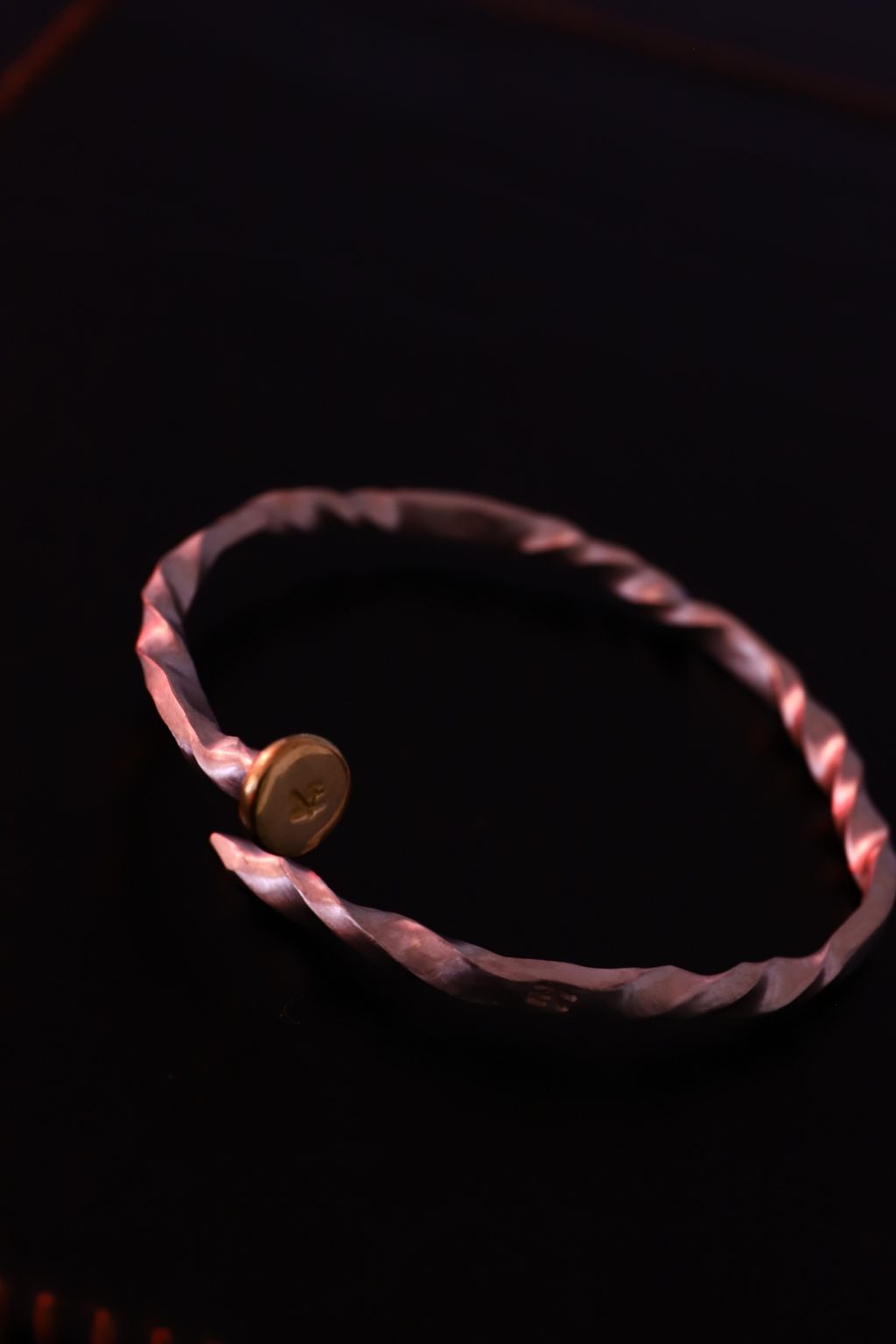 image_01D14EE9-4ED7-4706-B60B-9B069739B7DD_1755624774