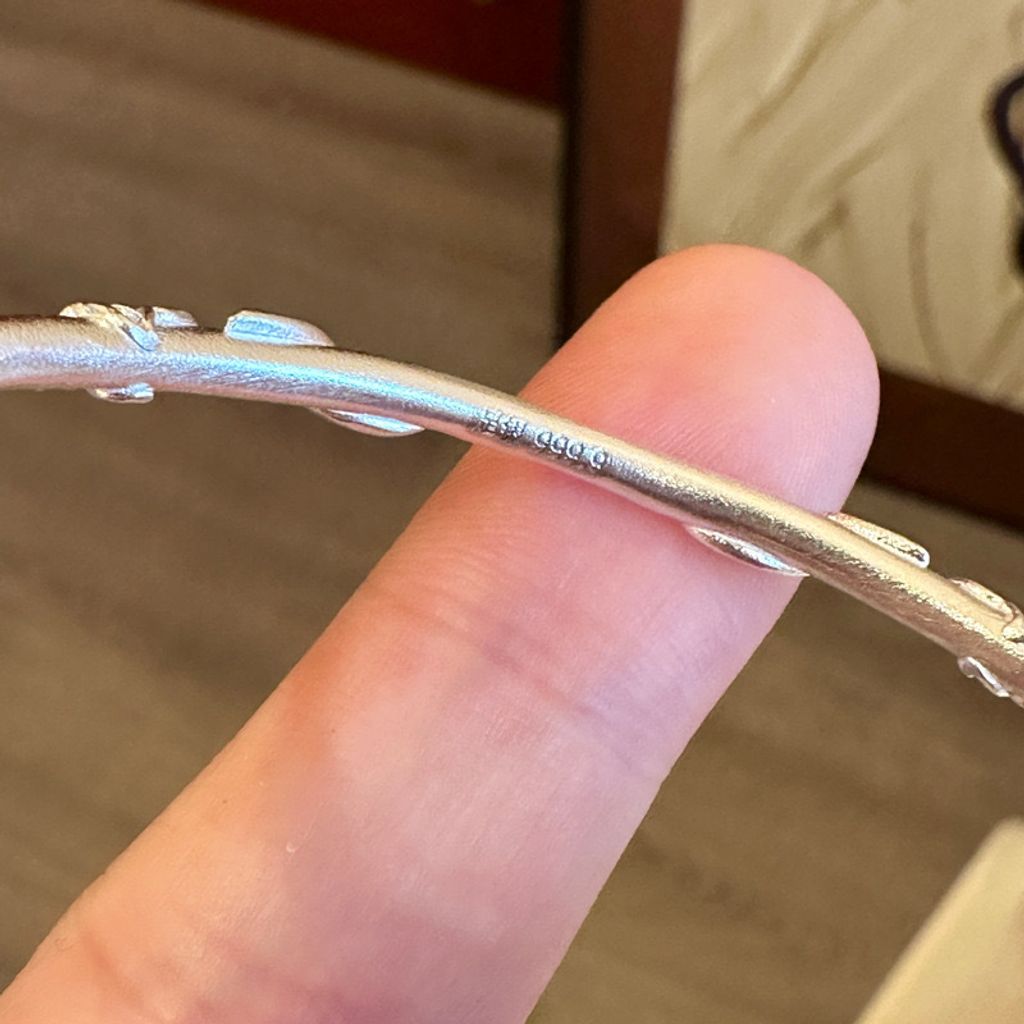 image_C3E5B4D1-4946-40A8-9570-D7C6F341685A_1755633042