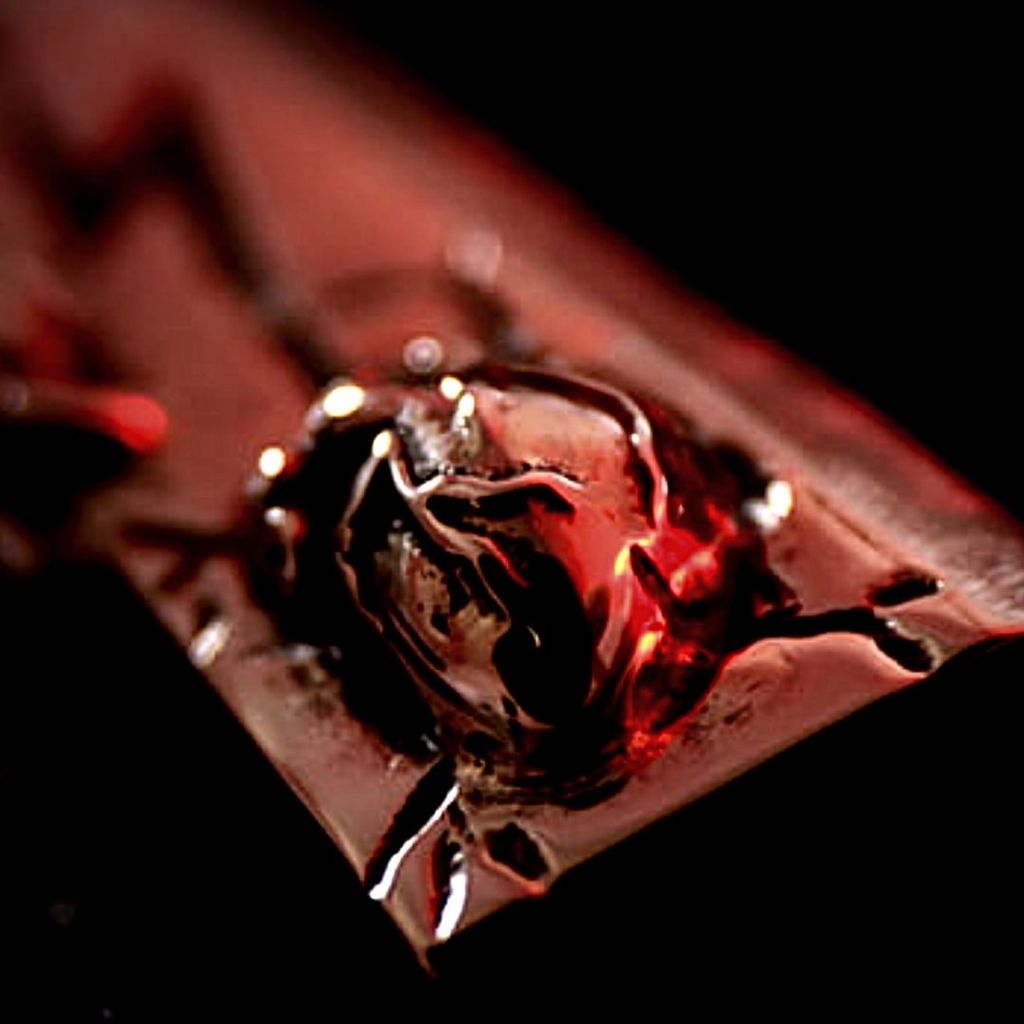 image_6ACD5ABF-2860-48CB-9AE1-54400C295318_1755643402