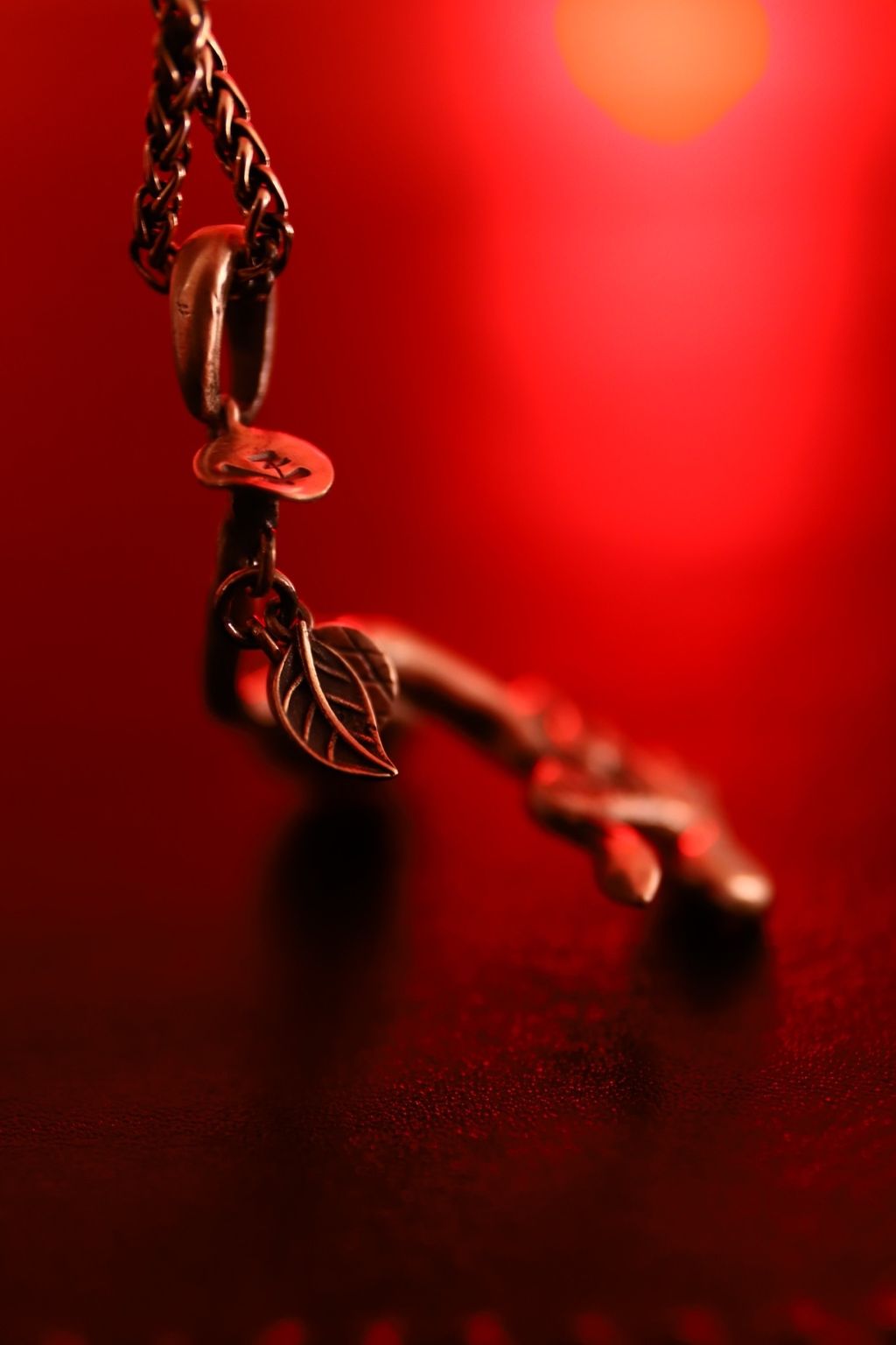 image_738FCA09-8842-4F87-AB37-179E50435602_1756497485