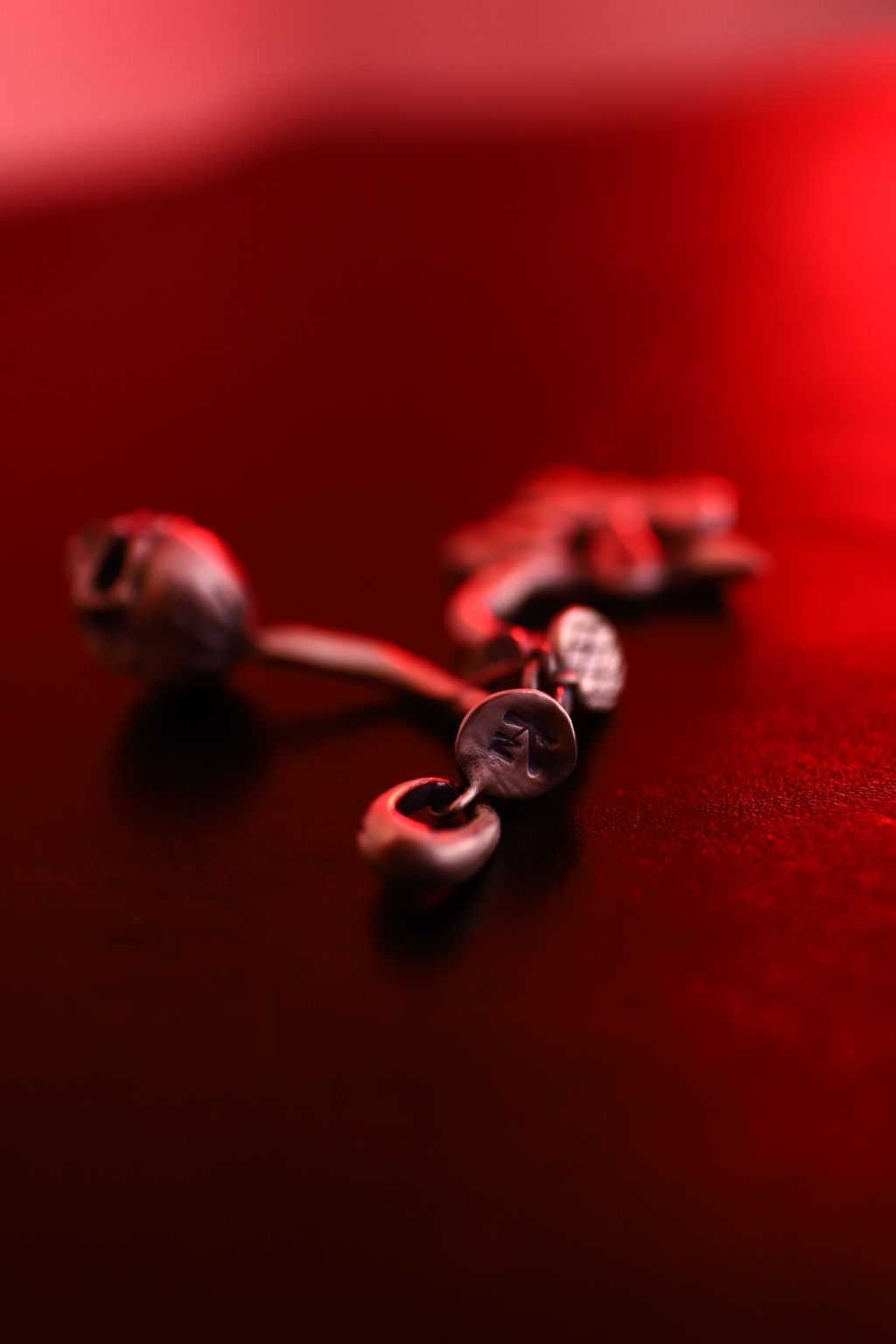 image_51564C74-98CF-400A-A092-28442AB12DA3_1756497485