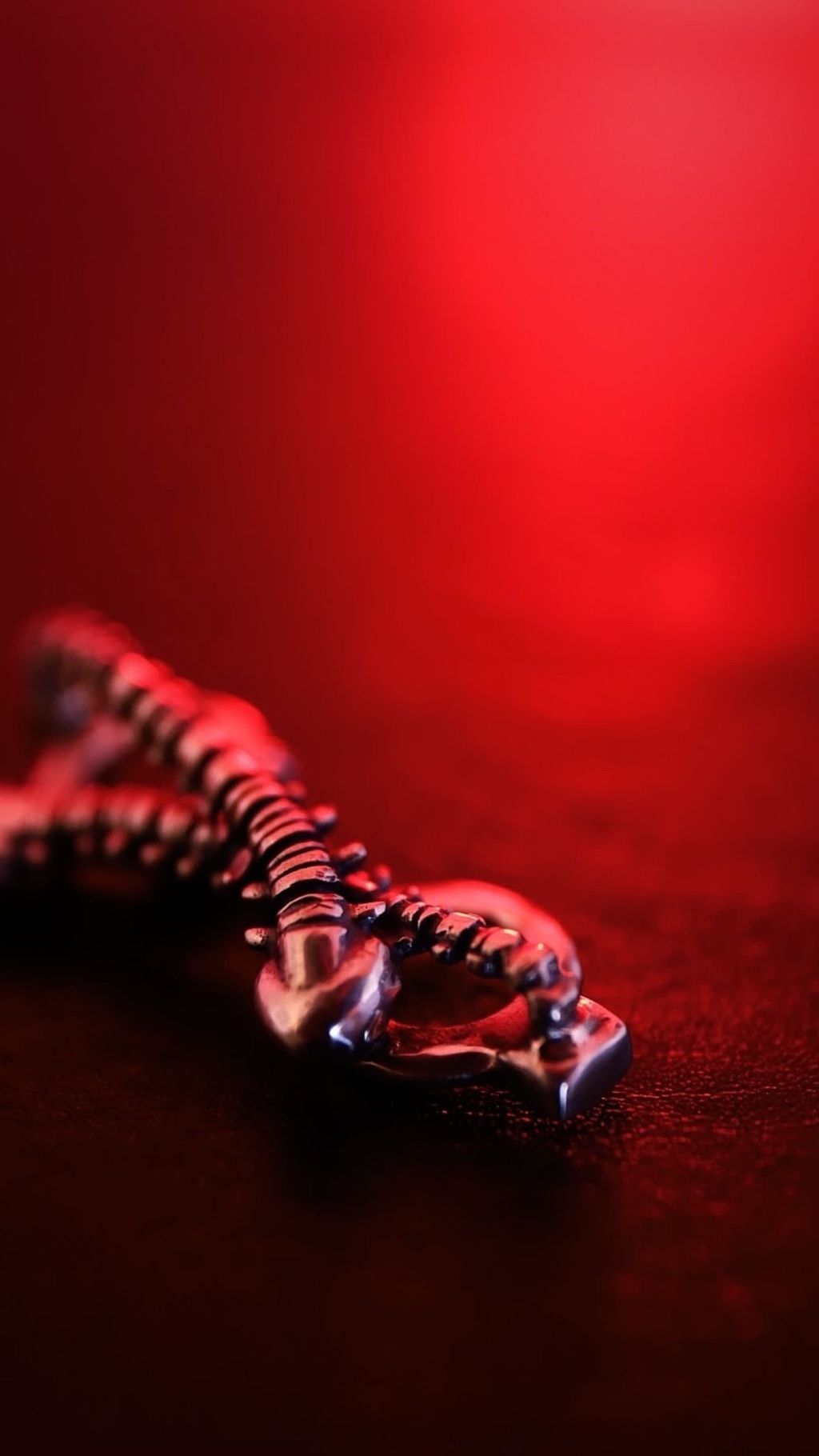 image_5449AFA5-63EA-4132-BE3C-EC0415F7026E_1756578262