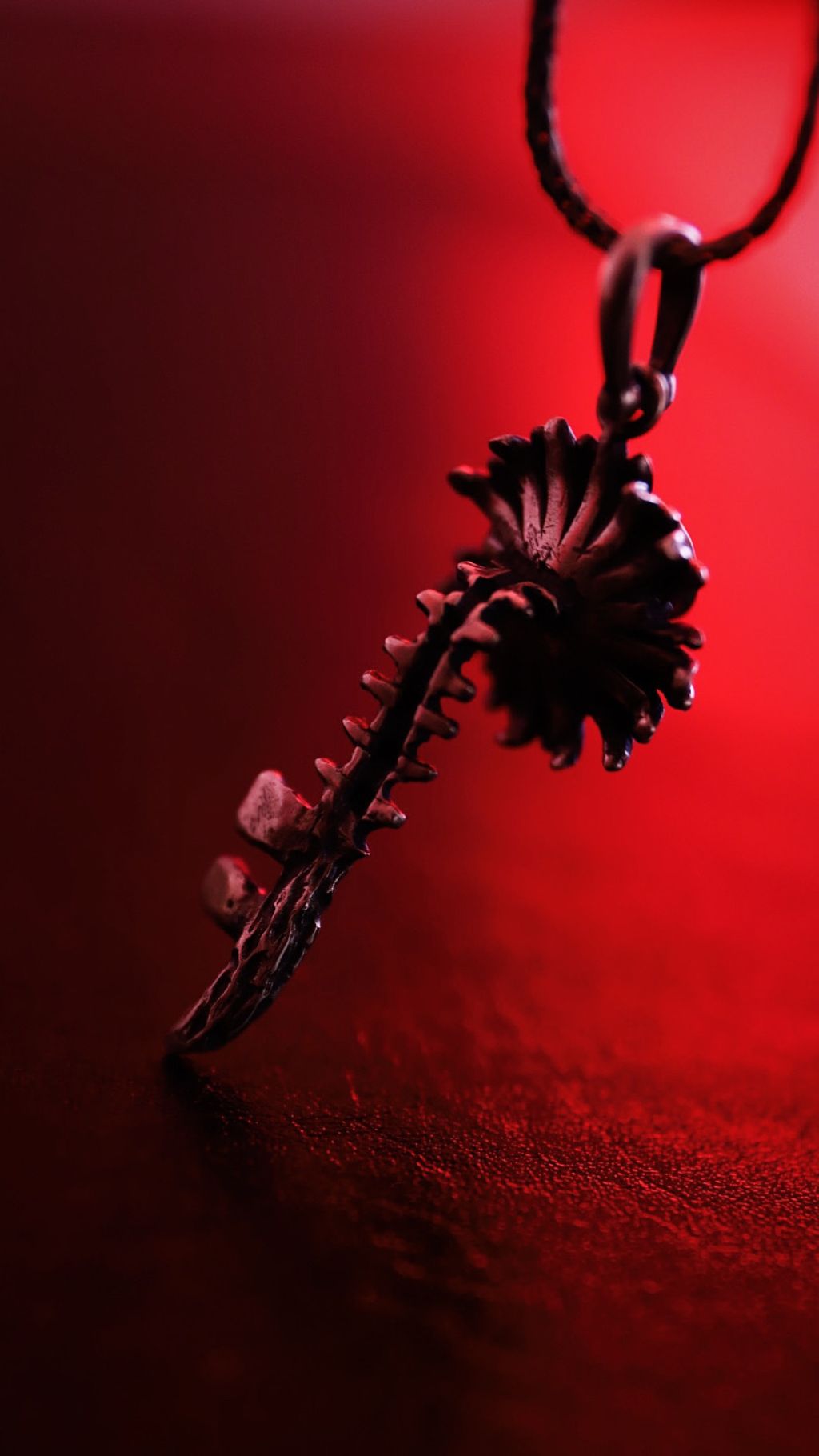 image_90D0068D-DD72-4002-B9B1-02C9E339FB2D_1757662408