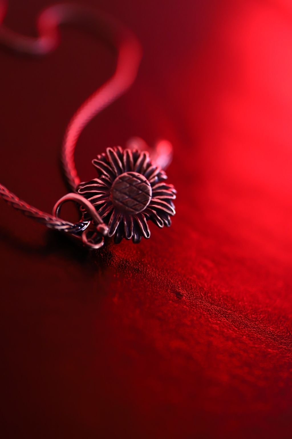 image_AD869E3B-9F0E-4933-804D-BE086733FBD0_1758190782