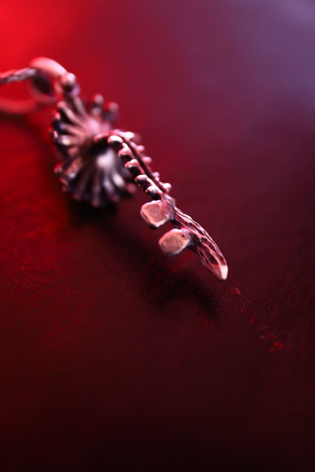 image_D3AD6A0A-2F21-4CC3-A3A9-F43870030774_1758190782