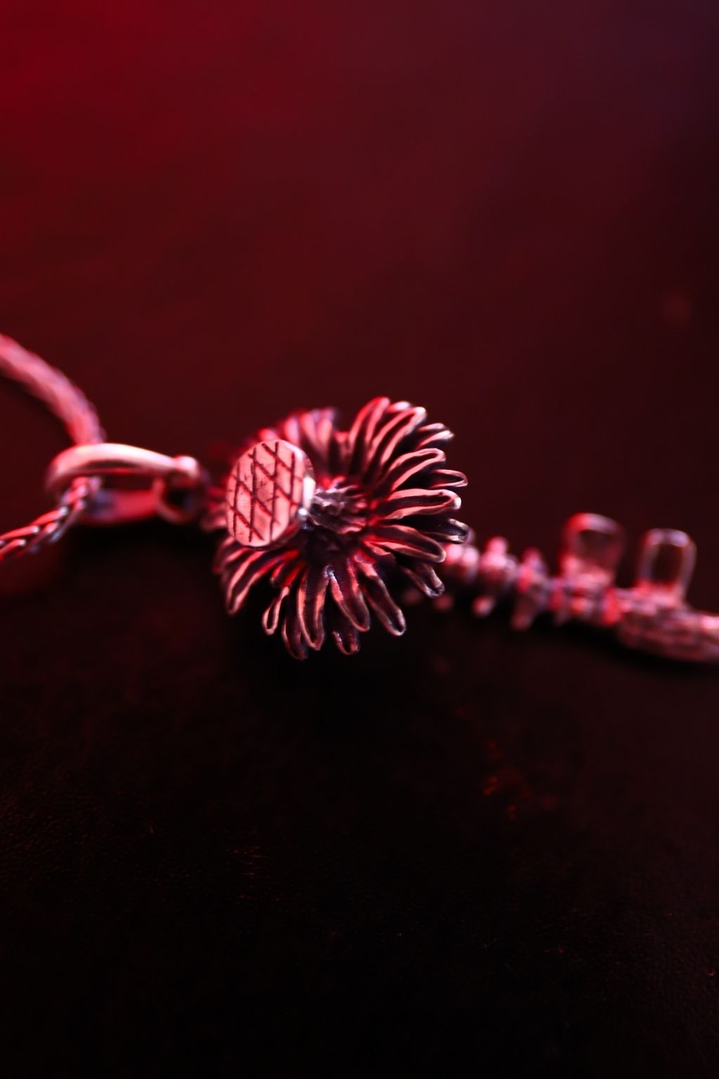 image_A182CFBC-B308-4141-A82A-43D081342660_1758190782