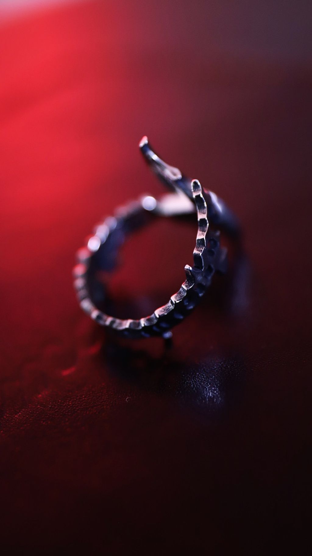 image_434EF18D-69FC-4936-87C8-0E45773B1BA1_1758193965