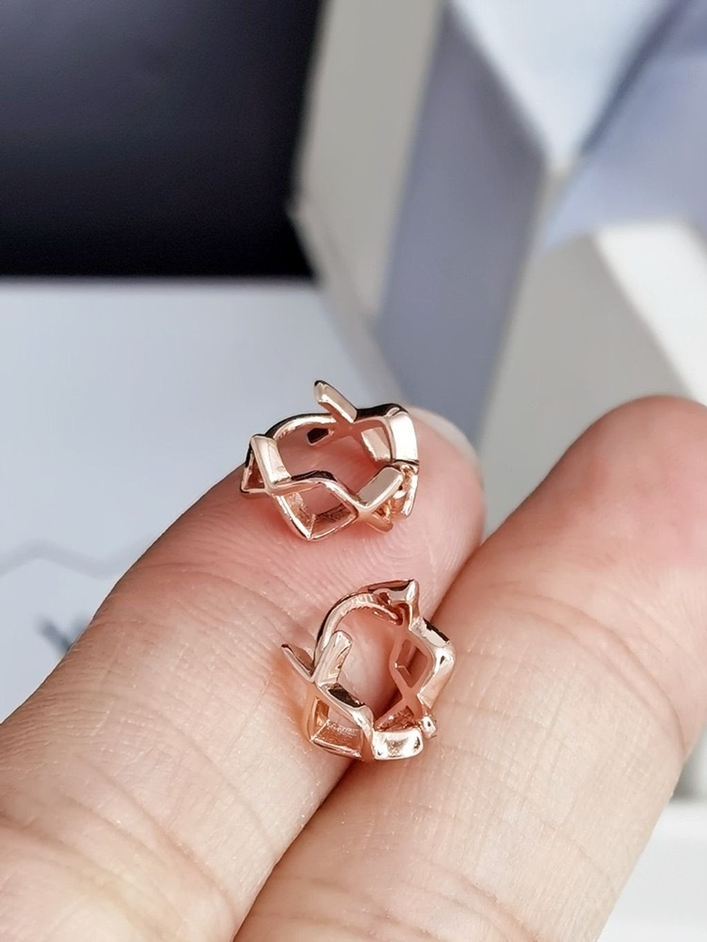 image_1C670368-4D1E-420C-A913-B7ED5746137B_1761671939