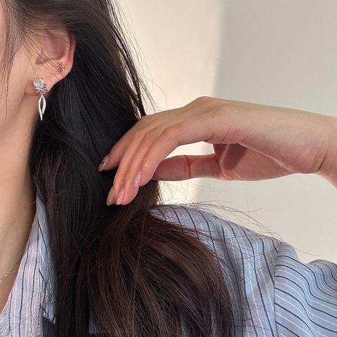 image_645598DC-76FD-4A35-A48E-8F52A16E9AAF_1765546217