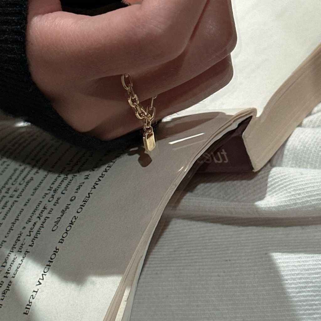 image_29CAC472-E49E-453E-8F4C-A00AF0DEDA3C_1766973145