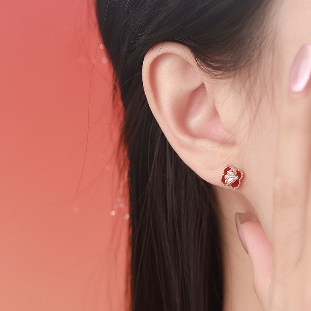 image_D0D1EBC3-79AA-46DE-97F9-25359DC545FB_1767346671