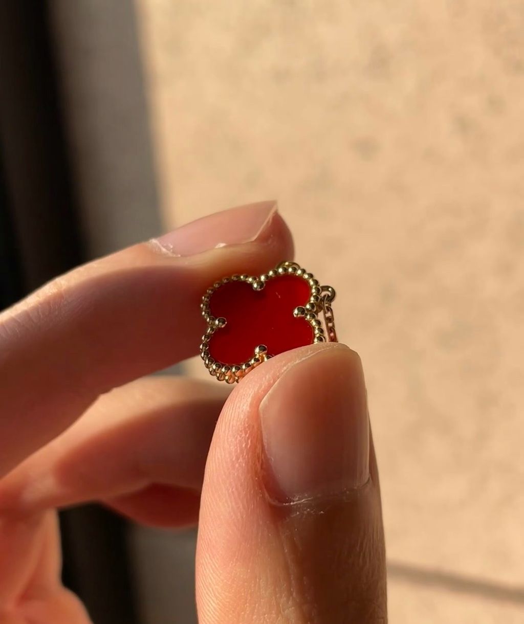 image_BF638D0F-7D08-4235-BAEA-2FF6A4A1EB1C_1772269260