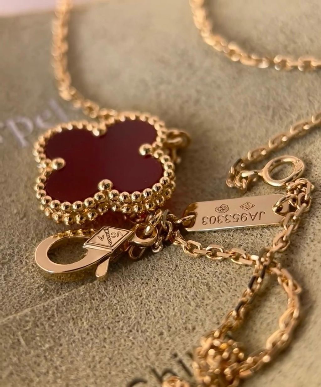 image_3A25F5D1-8475-4E4C-9B0B-8BA904858BA6_1772269260