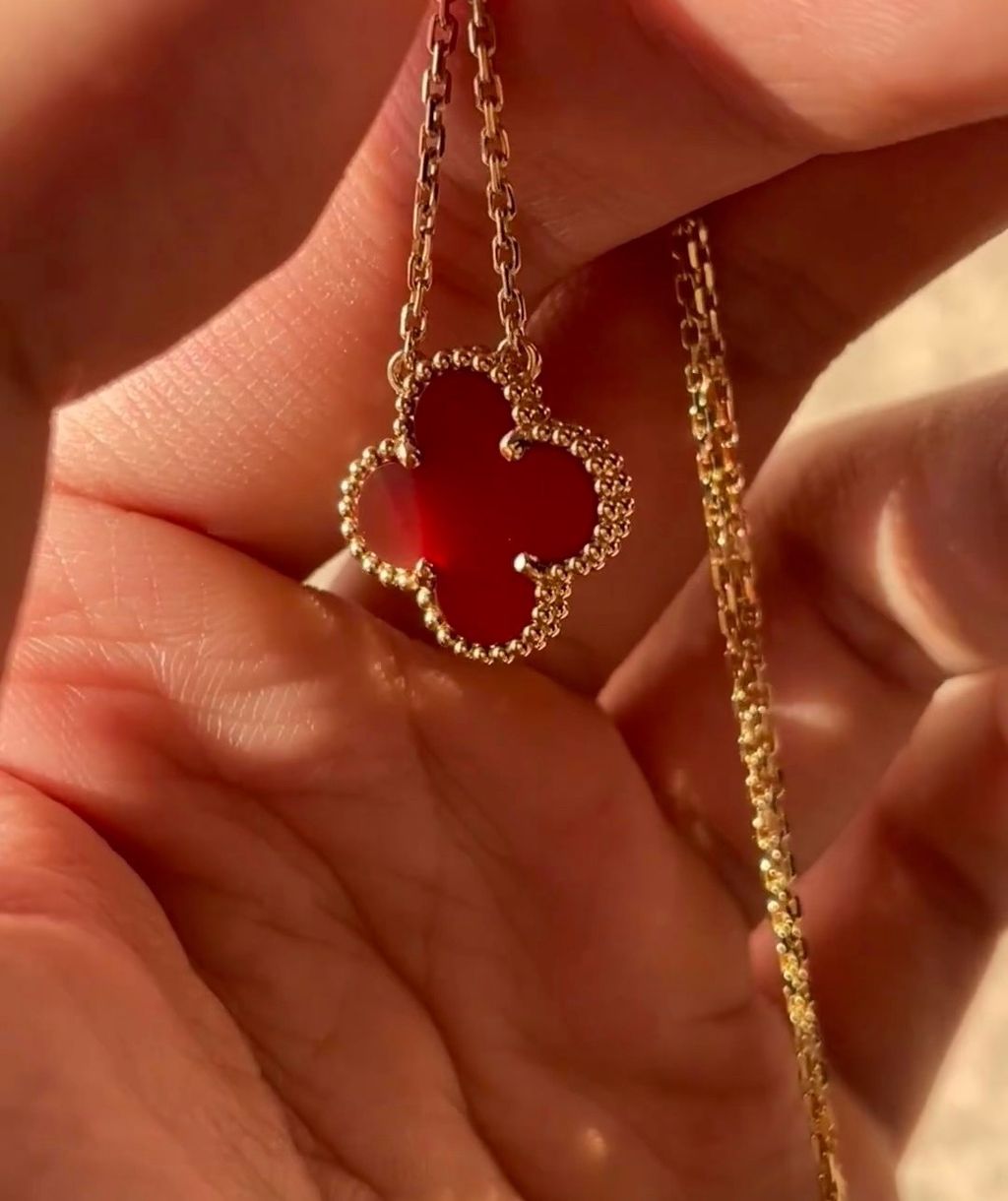 image_54682C72-B03D-473E-BB20-8B65BA115141_1772269260