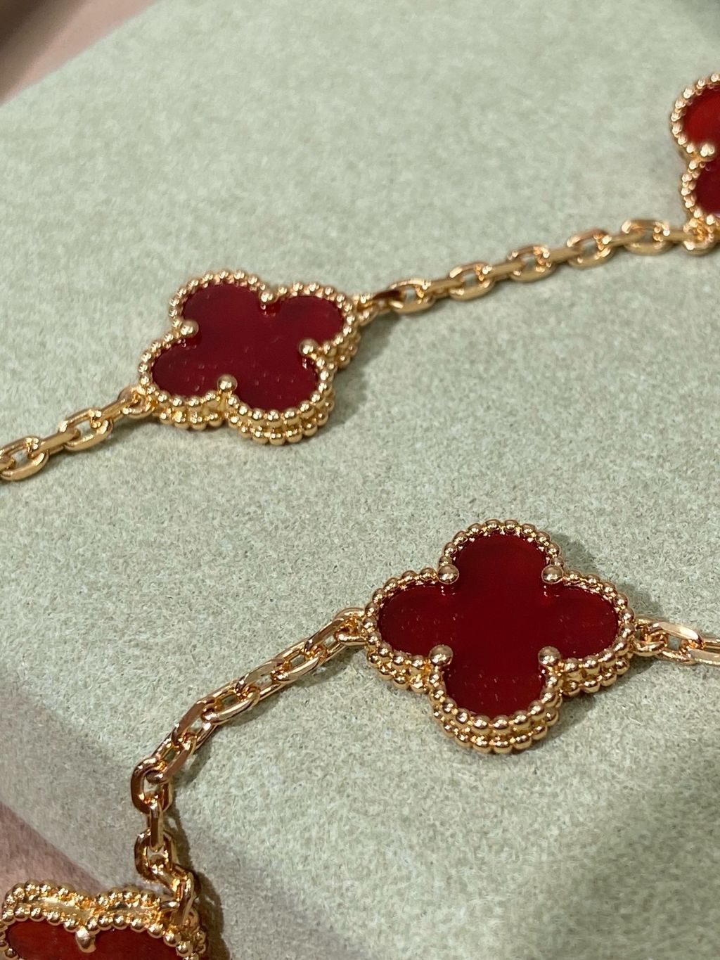 image_C07E03B1-05E7-44B5-B756-712BFFB2100E_1772269260