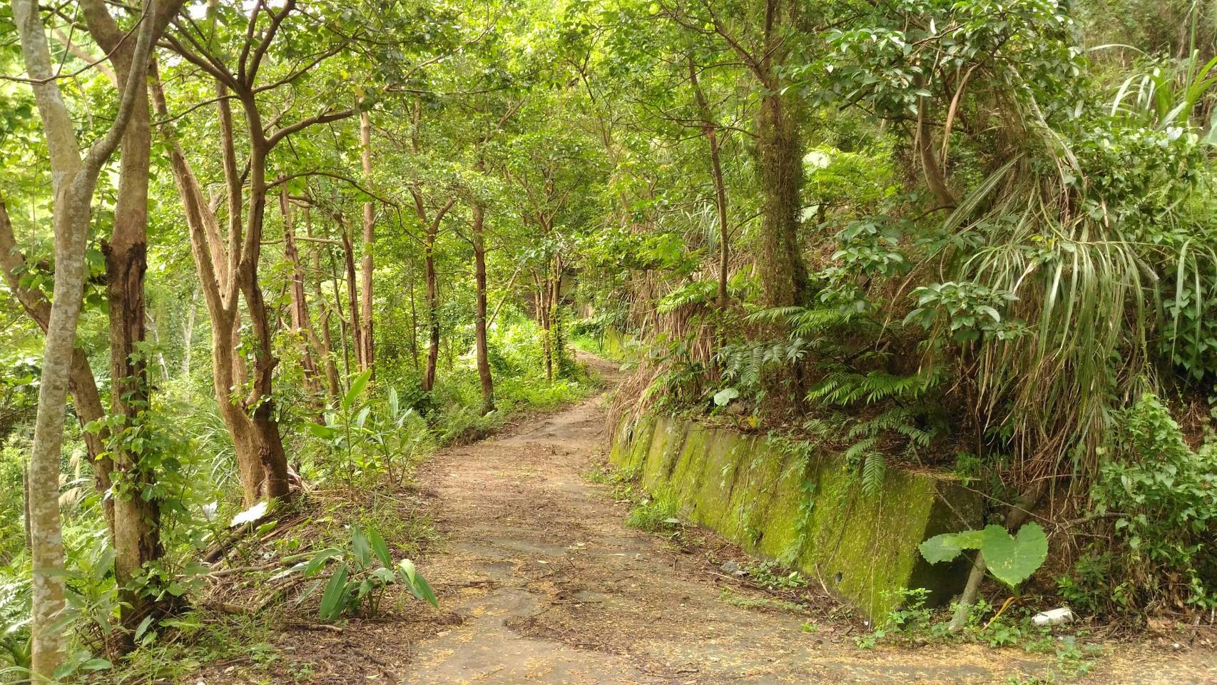 夢沄森境.jpg 夢沄森境.jpg