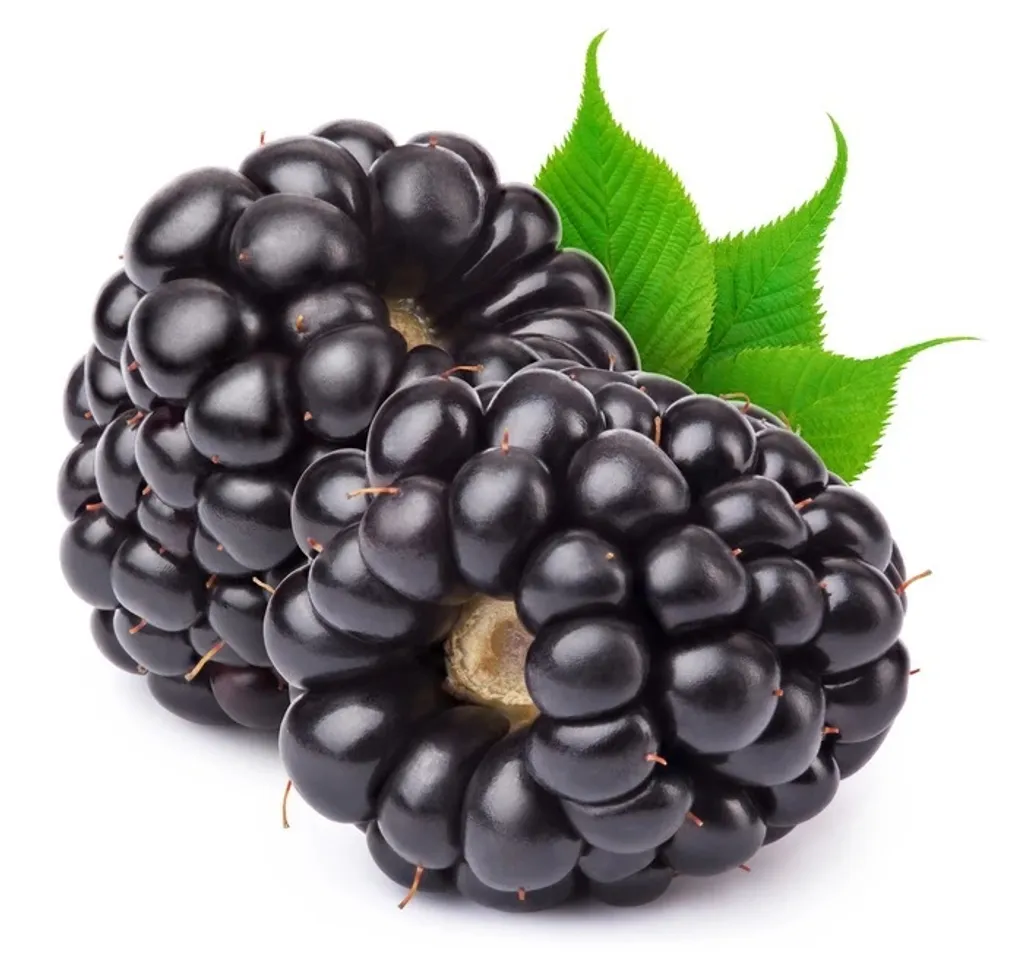 fa_blackberry_c16da95d-146f-4392-8f67-ed2512d637a8_700x.jpg