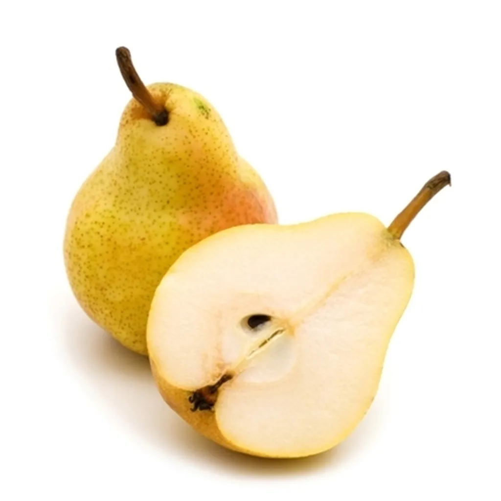 6683_1_.jpg