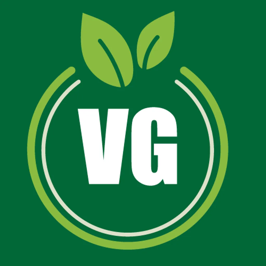 VG-01.png