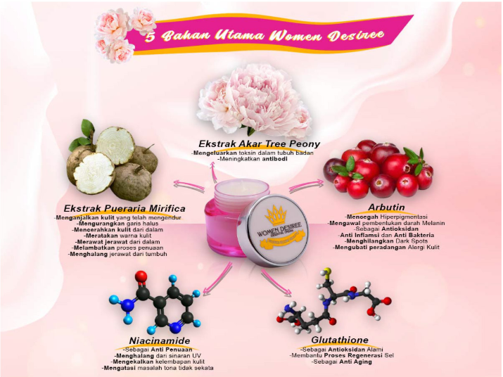 WD ALL INGREDIENTS.PNG WD ALL INGREDIENTS.PNG