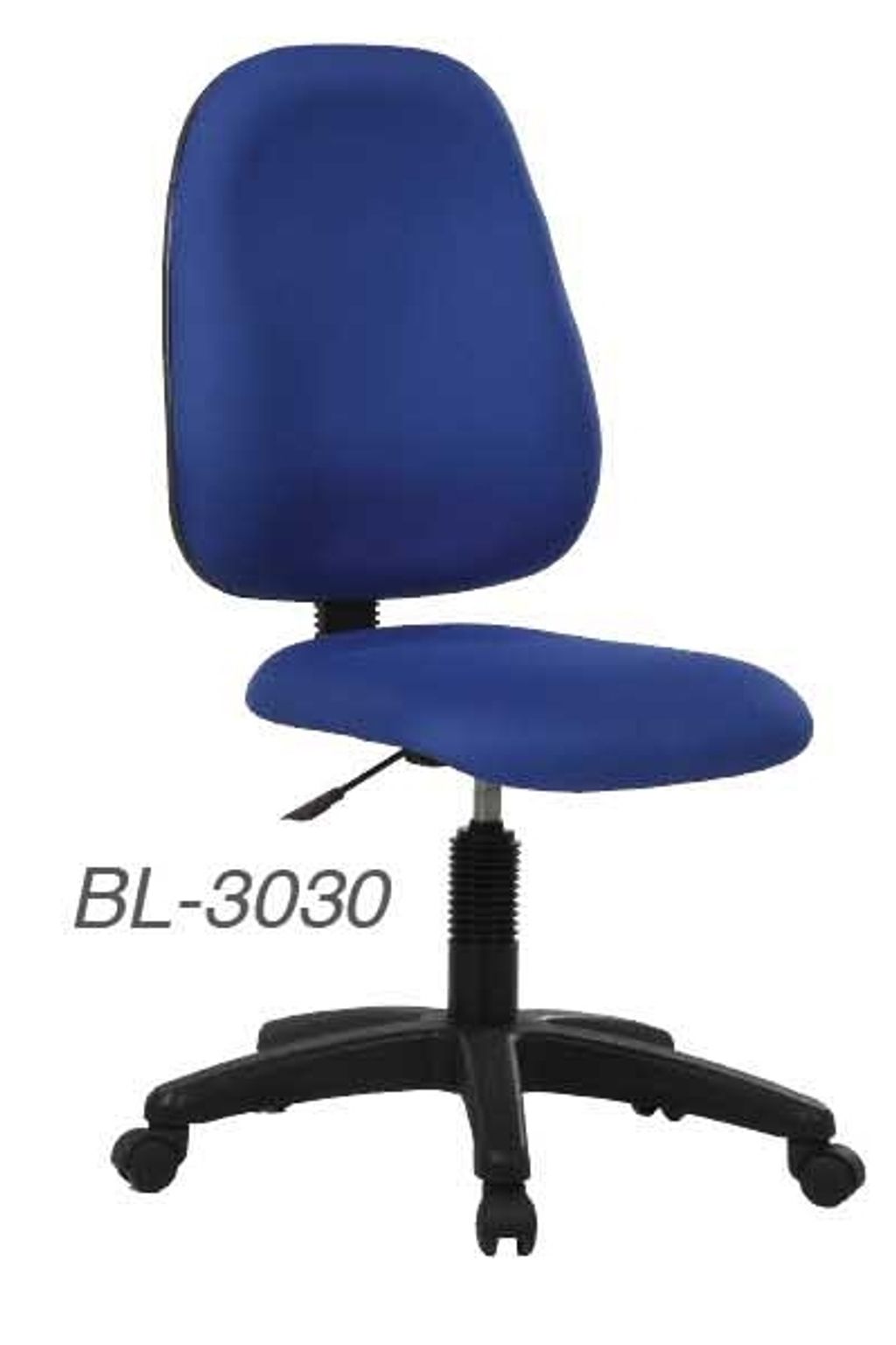 E-BL-3030.jpg