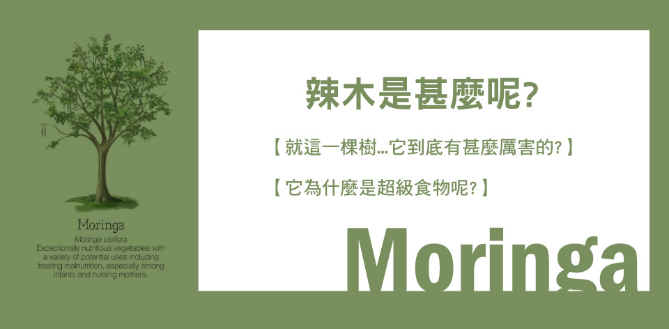 甚麼是辣木?