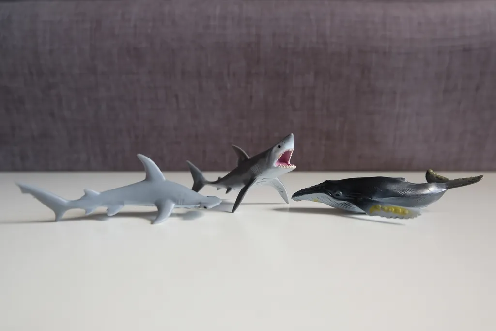 DSCF2549.JPG