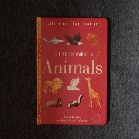 Animal hidden world.jpg