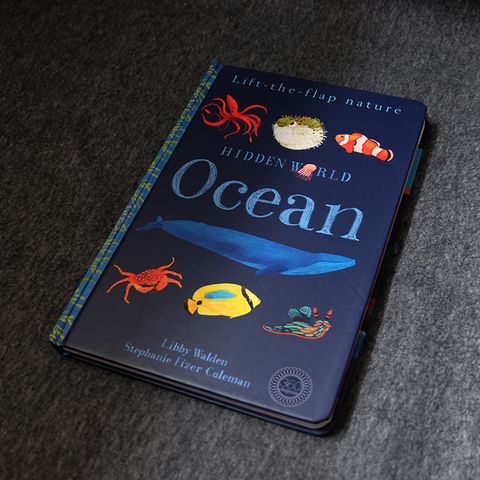Ocean Hidden World 2.jpg