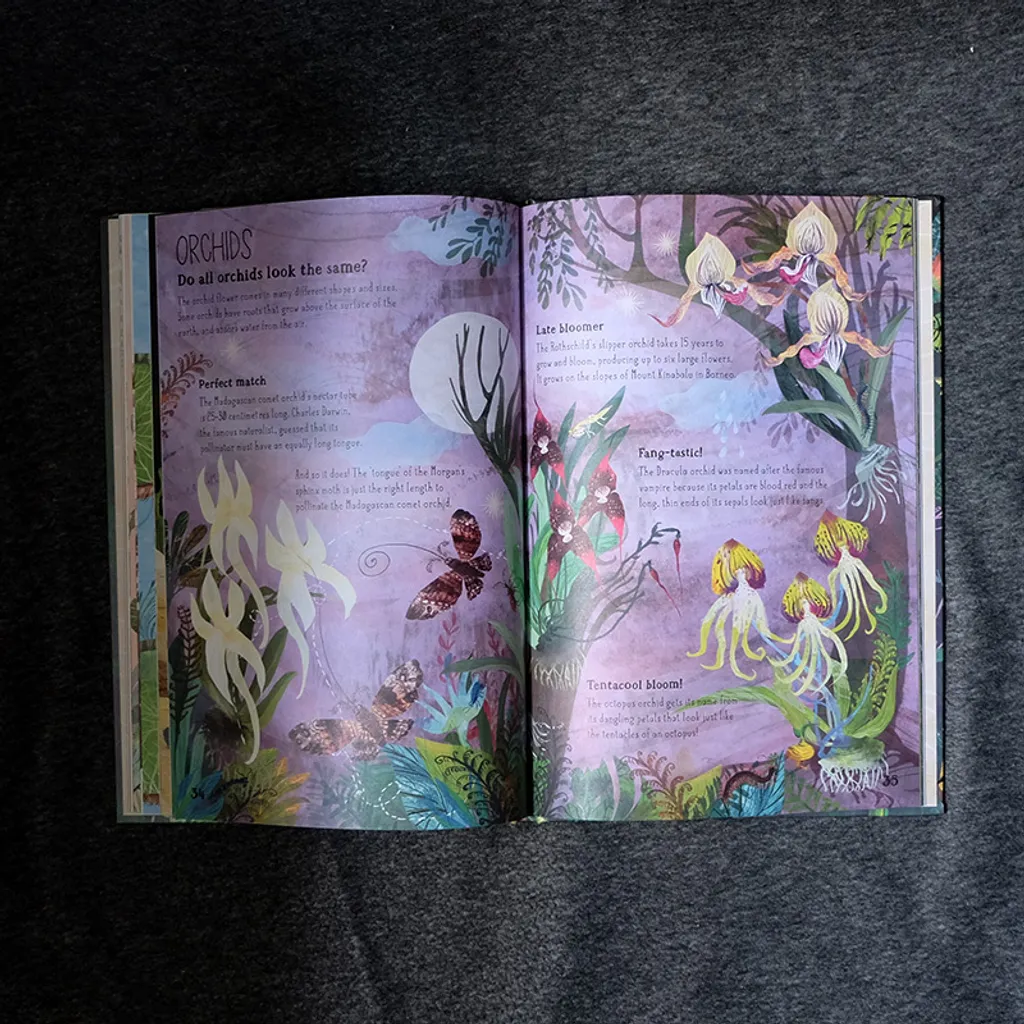 Blooms 13.jpg