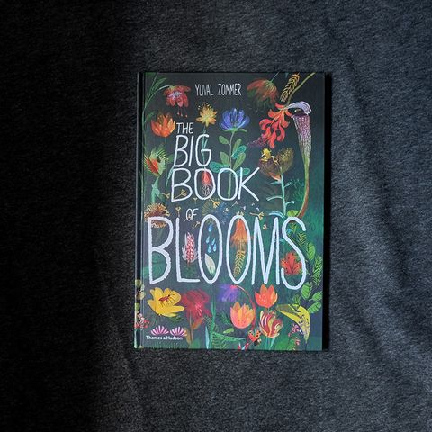 Blooms 1.jpg